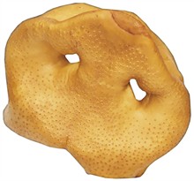 Redbarn Pork Snouts