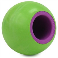 Rita Fetch & Treat Ball - Keep Away Kiwi (GREEN)