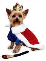 Zack & Zoey Royal Pup Halloween Costume - SMALL