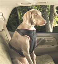 Solvit Pet Vehicle Safety Harness (X-Large)