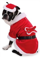 Santa Paws Dog Costume - MEDIUM
