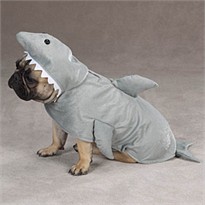 Zack & Zoey Land Shark Costume - SMALL