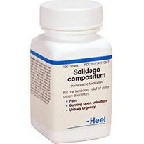 Solidago compositum (100 Tabs) by Heel