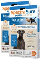 6 MONTH Spectra Sure Plus for Dogs 89-132 lbs