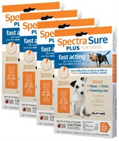 12 MONTH Spectra Sure Plus IGR for Dogs 0-22 lbs