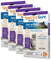 12 MONTH Spectra Sure Plus IGR for Cats of All Weights