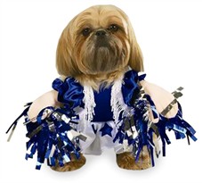 Spirit Paws Dog Costume - XSMALL