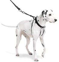 The Sporn Pull Stop Halter Leash BLACK - XLARGE