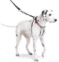 The Sporn Pull Stop Halter Leash RED - XLARGE