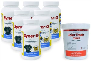 6-PACK Syner-G&reg; Digestive Enzymes (1200 Tablets) + FREE Joint Treats
