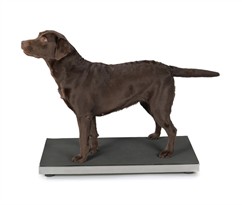Total Pet Health Stainless Steel Vet Scale Small
