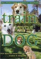 Train Your Dog DVD