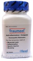 Traumeel Tablets - 100 Tabs