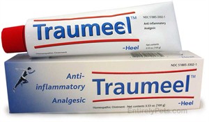 Traumeel Ointment - 100 gm Tube