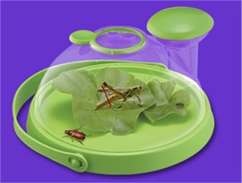 Uncle Milton Bug Jug