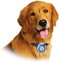 Uncle Milton Pet's Eye View Camera