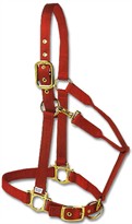 Valhoma Horse Halter Brass Medium - RED