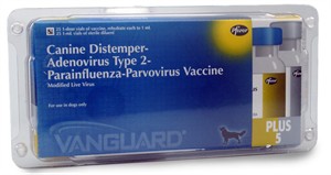Vanguard Plus 5, 25 x 1 ml