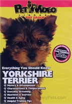 Yorkshire Terrier - DVD