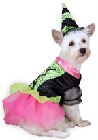 Zack & Zoey Witchy Business Costume Green - XSMALL