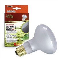 R-Zilla Incandescent Day White Light Spot (75 watt)