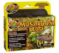 Mushroom Ledge sm