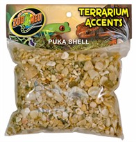 Terrarium Accents - Puka Shell