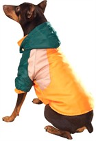 Zack & Zoey All Terrain Jacket (Green/Orange/Beige)